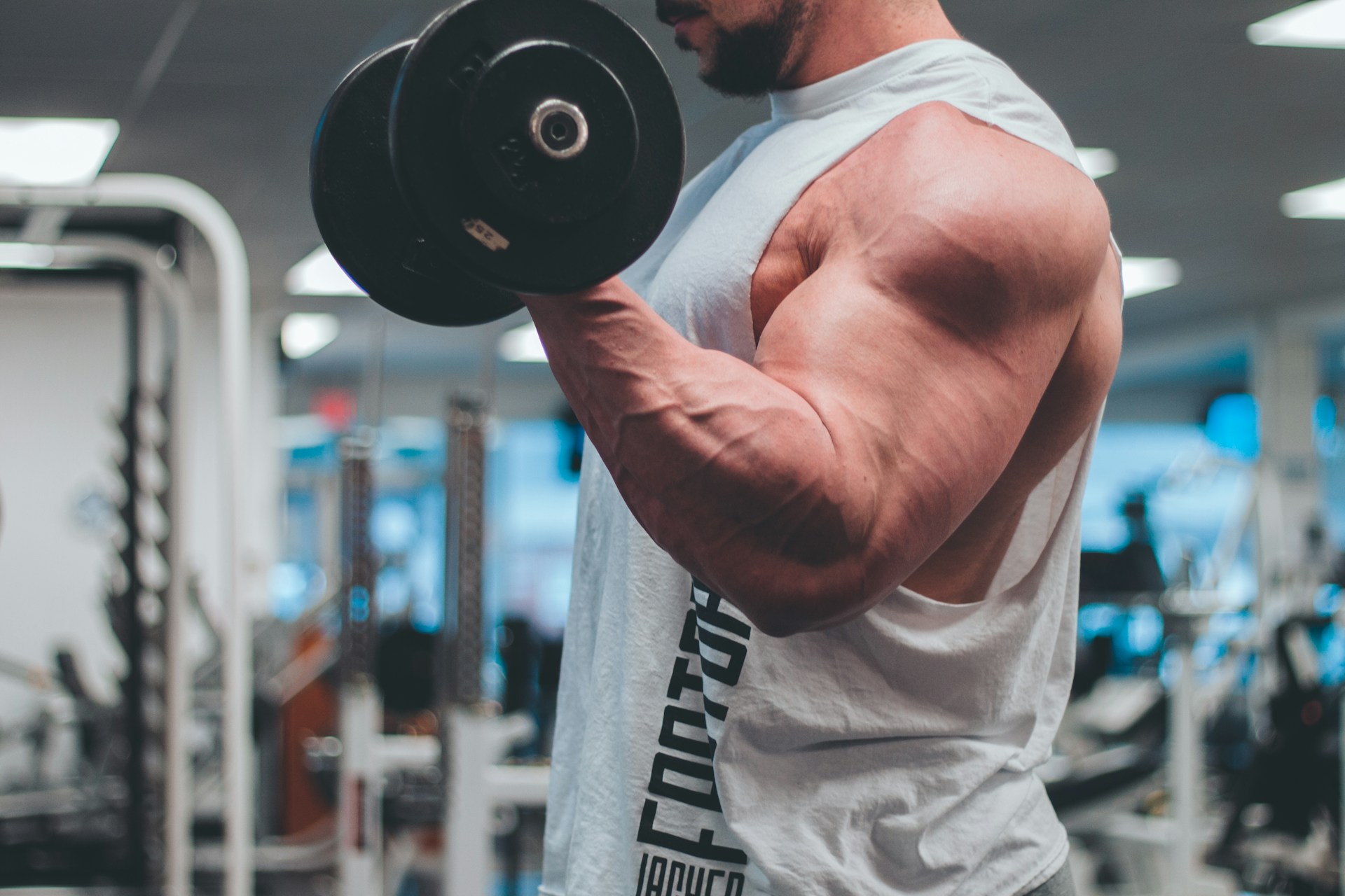 Building Muscle
