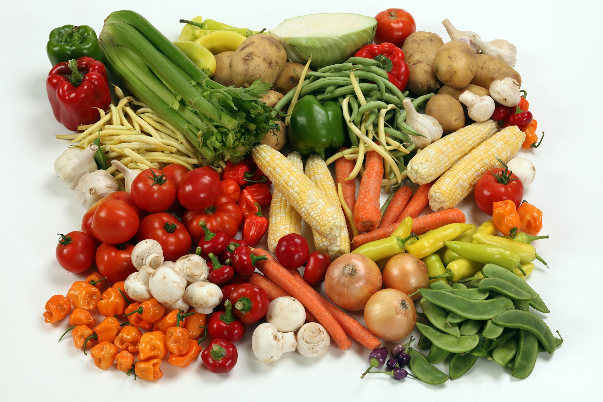 Plant-based diets